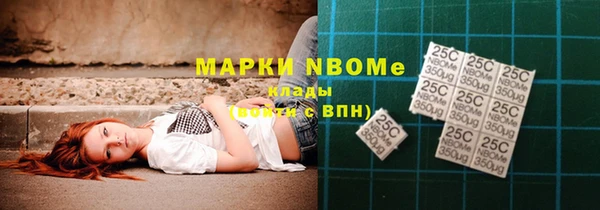 шишки Медногорск