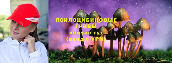 мдпв Мегион