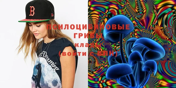 мдпв Мегион