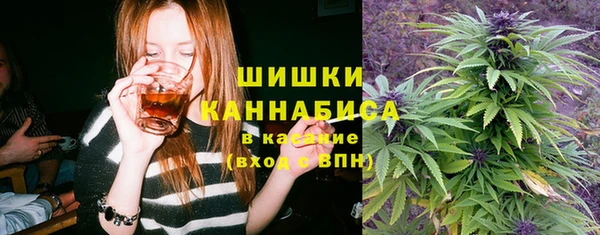 тгк Медвежьегорск
