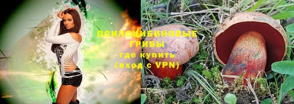 тгк Медвежьегорск