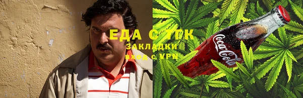 шишки Медногорск