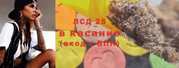 шишки Медногорск
