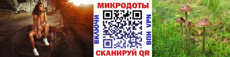 Галлюциногенные грибы MAGIC MUSHROOMS Грозный