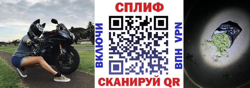где купить наркоту  Грозный  нарко площадка официальный сайт  Канабис Ganja 